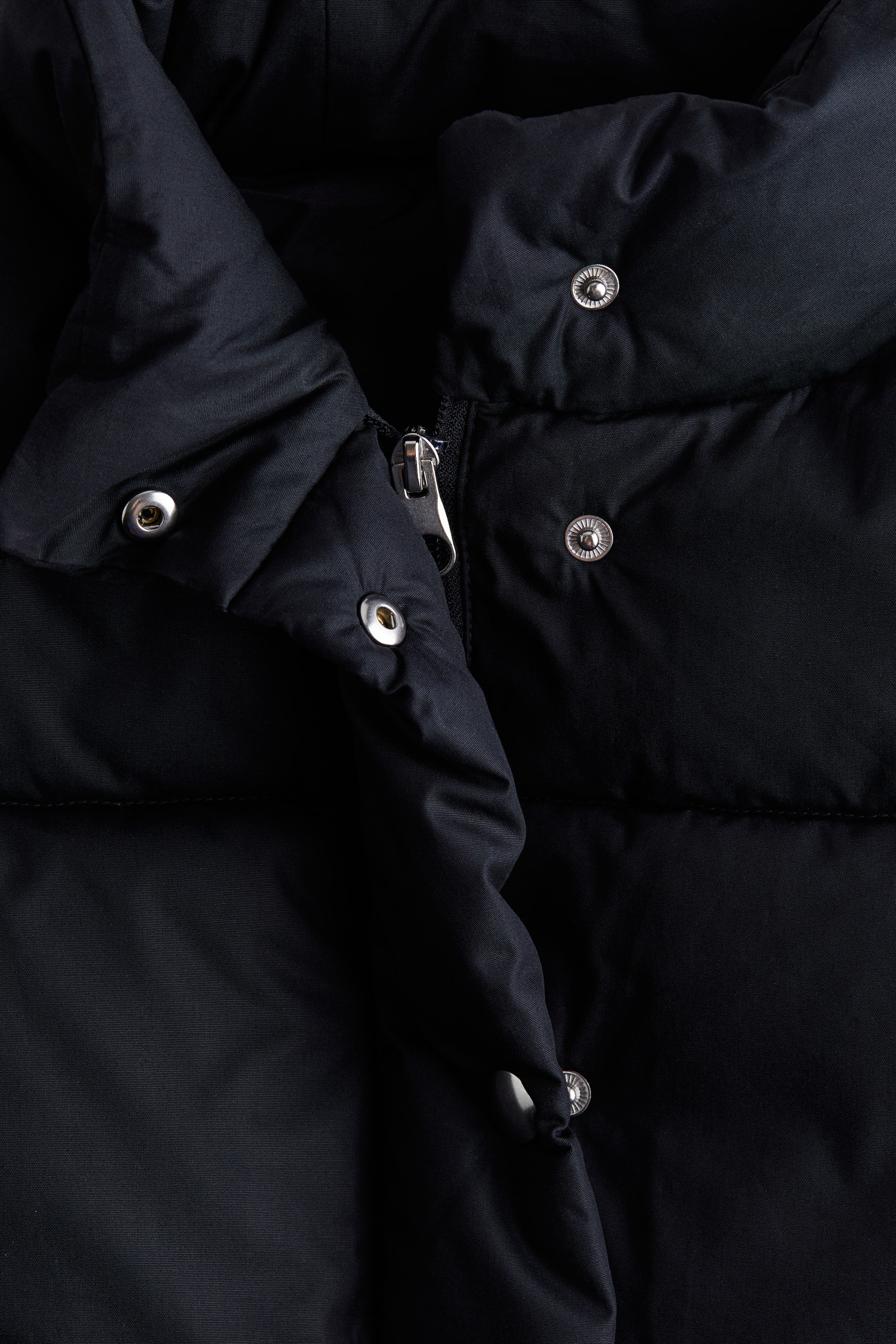 Cotton puffer jacket - Navy blue - Ladies